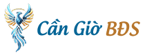 Bất Động Sản Cần Giờ