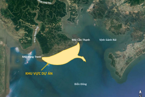 Siêu dự án lấn biển Cần Giờ hơn 282.000 tỷ đồng của Vingroup sắp khởi công: Huy động 10.500 người xây tòa nhà 108 tầng, sân golf 155 ha và hơn 27.000 căn nhà ở liền kề/biệt thự