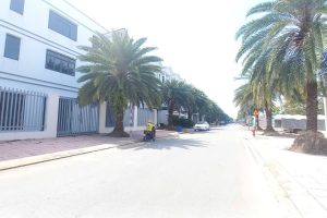 gấp nền DA Catana