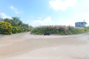 Chat GPT hoc ngoại ngữ