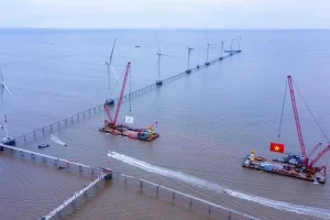 Trung Nam Group đề xuất bổ sung nhà máy điện gió Cần Giờ vào quy hoạch điện VIII