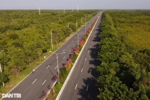 Thủ tướng giao TP.HCM khẩn trương triển khai đường sắt đi Long Thành, Cần Giờ