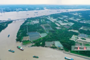 Hầu tòa vì trốn thuế trong giao dịch mua bán nhà đất trị giá 16 tỉ đồng