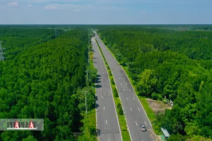 Vingroup: Cần kết hợp đầu tư metro với cầu Cần Giờ để giảm chi phí