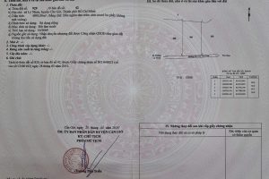 bán đất mẫu