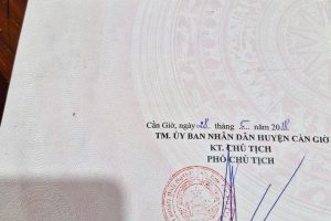 giá đầu tư